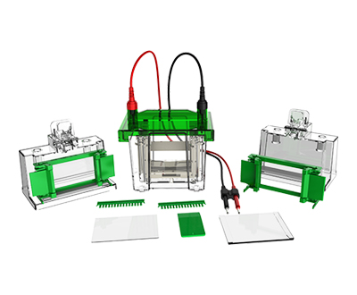 迷你垂直電泳槽