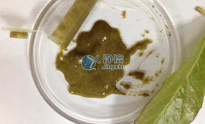 植物葉片樣品前處理實驗效果