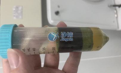 蔬菜樣品前處理實(shí)驗(yàn)研磨效果圖