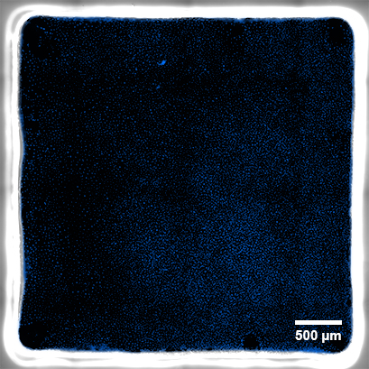 b4b5ab5a177b2ca8cc687fcc44a7ab4d.png