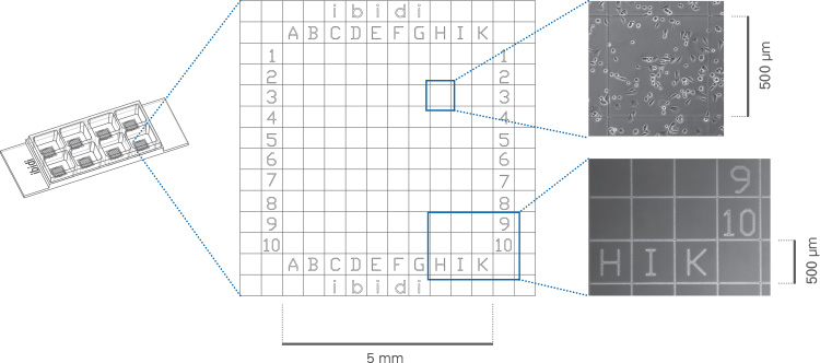 1691033550120871.jpg