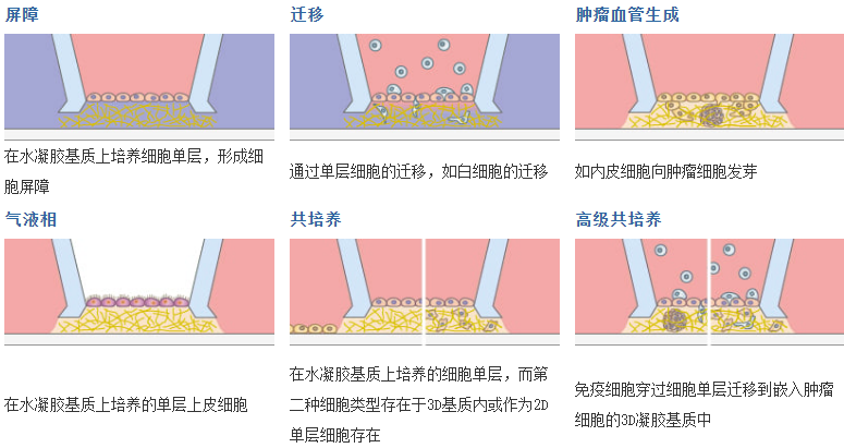 QQ截圖20250214105824.png