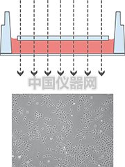 圖9.jpg
