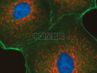 圖3.jpg