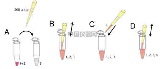 細胞趨化實驗新方法（二）--實時觀察細胞動態