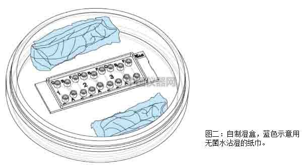 細胞趨化實驗新方法（二）--實時觀察細胞動態
