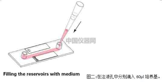 流體剪切力實驗：流體環(huán)境下的HUVEC細(xì)胞培養(yǎng)，真實還原體內(nèi)環(huán)境
