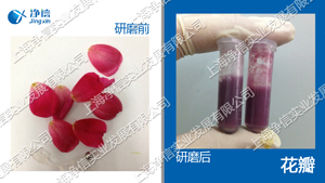 多樣品組織研磨儀 型號：Tissuelyser-96