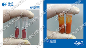 快速組織研磨機,多樣品組織勻漿機,快速樣品勻漿系統(tǒng)