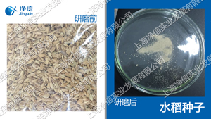 快速組織研磨機,多樣品組織勻漿機,快速樣品勻漿系統(tǒng)